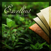 Thumbnail for the Reading and Studying Music - Excellent Concentration: Study Music 2019, New Age Relaxing Sounds, Background Music for Deep Concentration link, provided by host site