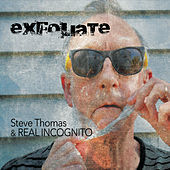 Thumbnail for the Steve Thomas - Exfoliate link, provided by host site