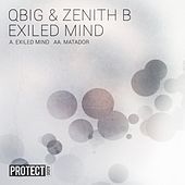 Thumbnail for the Qbig - Exiled Mind link, provided by host site
