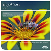 Thumbnail for the Depthide - Exist link, provided by host site
