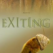 Thumbnail for the Mantis - Exiting link, provided by host site