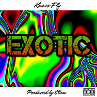 Thumbnail for the Kuzzo Fly - Exotic link, provided by host site