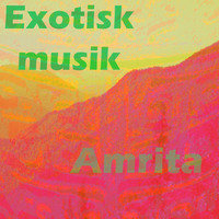 Thumbnail for the Amrita - Exotisk musik link, provided by host site