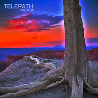 Thumbnail for the t e l e p a t h テレパシー能力者 - Expand link, provided by host site