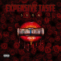 Thumbnail for the SUGA - Expensive Taste link, provided by host site