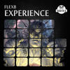 Thumbnail for the Flexb - Experience link, provided by host site
