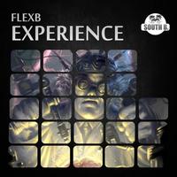 Thumbnail for the Flexb - Experience link, provided by host site