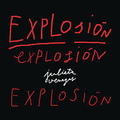 Thumbnail for the Julieta Venegas - Explosión link, provided by host site