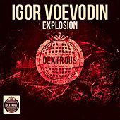 Thumbnail for the Igor Voevodin - Explosion link, provided by host site