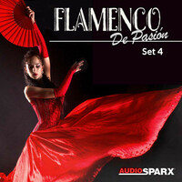 Thumbnail for the Dennis Fermin - Explosion De Amor (Love Explosion) link, provided by host site
