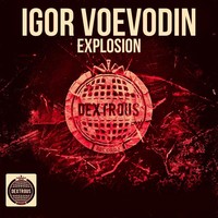 Thumbnail for the Igor Voevodin - Explosion link, provided by host site