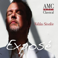 Thumbnail for the Niklas Sivelov - Exposé link, provided by host site