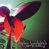 Thumbnail for the Stephen Brodsky - Expose Your Overdubs link, provided by host site