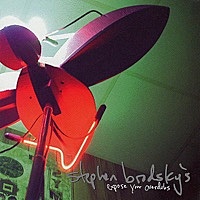 Thumbnail for the Stephen Brodsky - Expose Your Overdubs link, provided by host site