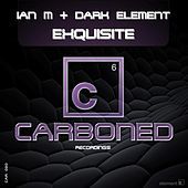 Thumbnail for the Ian M - Exquiste link, provided by host site