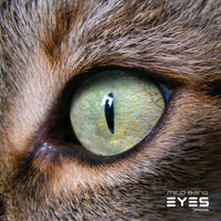 Thumbnail for the Mild Bang - Eyes link, provided by host site