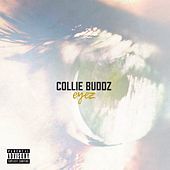 Thumbnail for the Collie Buddz - Eyez link, provided by host site
