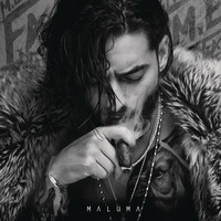 Thumbnail for the Maluma - F.A.M.E link, provided by host site