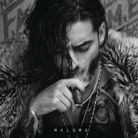 Thumbnail for the Maluma - F.A.M.E link, provided by host site