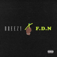 Thumbnail for the Dreezy - F.D.N link, provided by host site