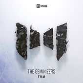 Thumbnail for the The Geminizers - F.H.M link, provided by host site