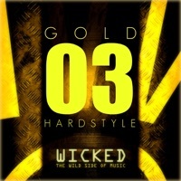 Thumbnail for the Wild Motherfuckers - F**k It Up (Tatanka &amp; Zatox Mix) link, provided by host site