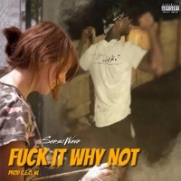 Thumbnail for the Hitemup - F**k It Why Not link, provided by host site