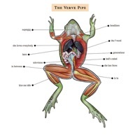 Thumbnail for the The Verve Pipe - F Word link, provided by host site