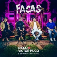 Thumbnail for the Diego & Victor Hugo - Facas (Ao Vivo) link, provided by host site