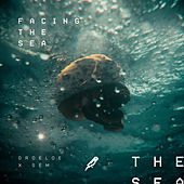 Thumbnail for the Droeloe - Facing The Sea link, provided by host site