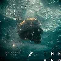 Thumbnail for the Droeloe - Facing The Sea link, provided by host site