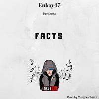 Thumbnail for the Enkay47 - Facts link, provided by host site
