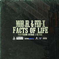 Thumbnail for the Fed X - Facts of Life link, provided by host site