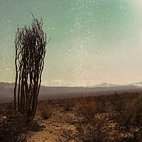 Thumbnail for the Jonathan Terrell - Fade into You link, provided by host site
