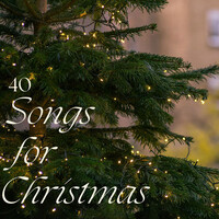 Thumbnail for the The Pogues - Fairytale of New York - Edit link, provided by host site