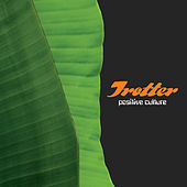 Thumbnail for the Trotter - Faixa Preta (Timewarp inc remix) link, provided by host site