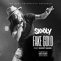 Thumbnail for the Skooly - Fake Gold link, provided by host site