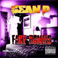 Thumbnail for the Sean P - Fake Homies link, provided by host site