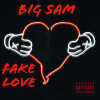 Thumbnail for the Big Sam - Fake Love link, provided by host site