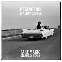 Thumbnail for the Peking Duk - Fake Magic (Gigamesh Remix) link, provided by host site