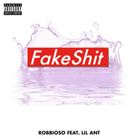Thumbnail for the Robbioso - Fake Shit link, provided by host site