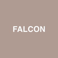 Thumbnail for the Jaden - Falcon link, provided by host site