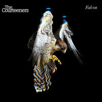 Thumbnail for the Courteeners - Falcon link, provided by host site