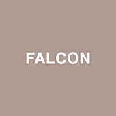 Thumbnail for the Jaden - Falcon link, provided by host site
