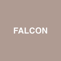 Thumbnail for the Jaden - Falcon link, provided by host site