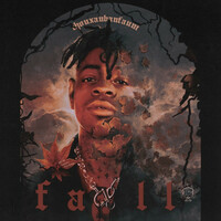 Thumbnail for the Thouxanbanfauni - FALL link, provided by host site