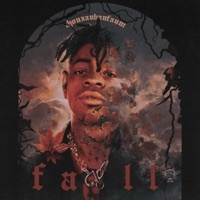 Thumbnail for the Thouxanbanfauni - FALL link, provided by host site