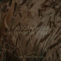 Thumbnail for the Meditation Spa - Fall 50 Powerful Songs for Yoga link, provided by host site