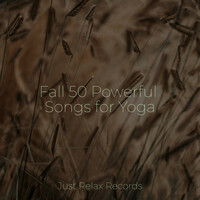 Thumbnail for the Meditation Spa - Fall 50 Powerful Songs for Yoga link, provided by host site