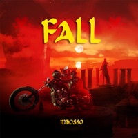 Thumbnail for the Mbosso - Fall link, provided by host site